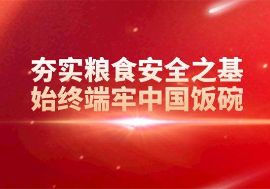 繃緊糧食安全之弦  踐行“國(guó)之大者 ”