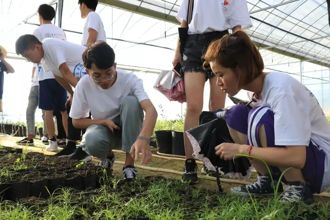 衢平共振，走好協(xié)作振興之路