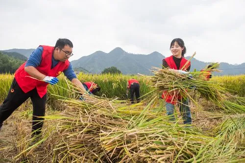 讓青春在勞動(dòng)中綻放“芳華”